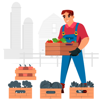 First Vector Graphic